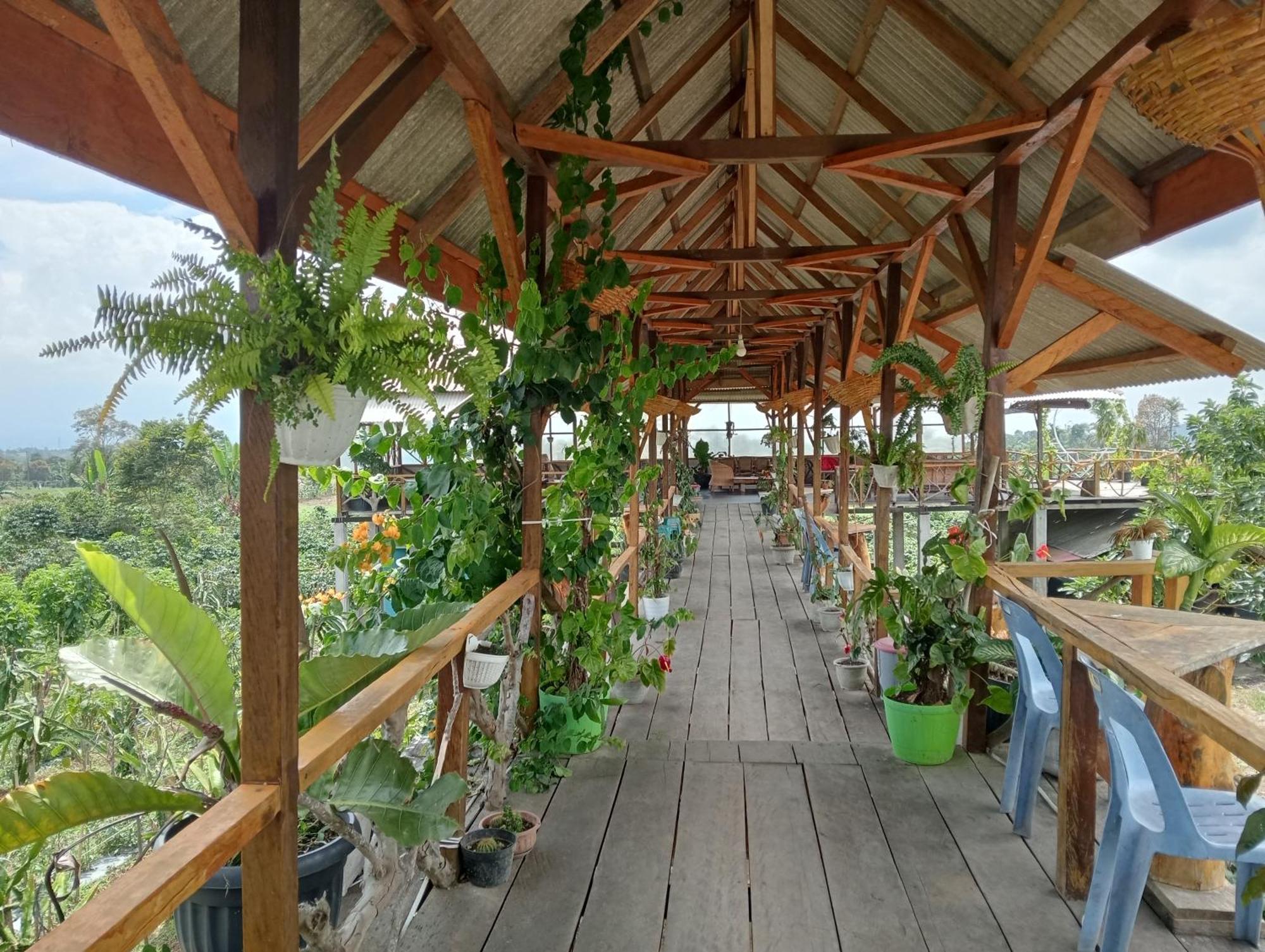 Vulkaan Homestay Берастагі Екстер'єр фото